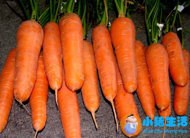 男性冬季养生小常识