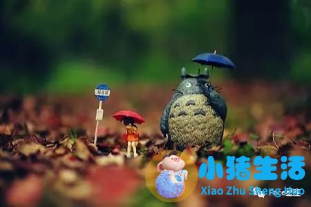 12星座不能说的秘密：双鱼温柔本性，摩