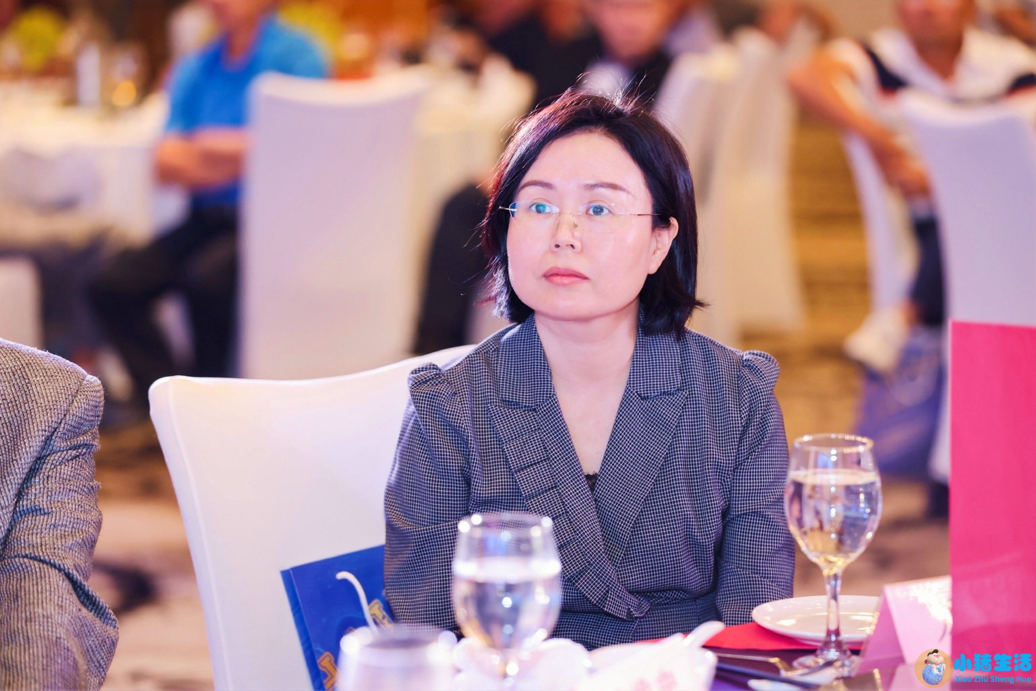 海口市龙华区人民政府副区长龙靖滨出席推介会
