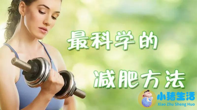 运动减肥计划表
