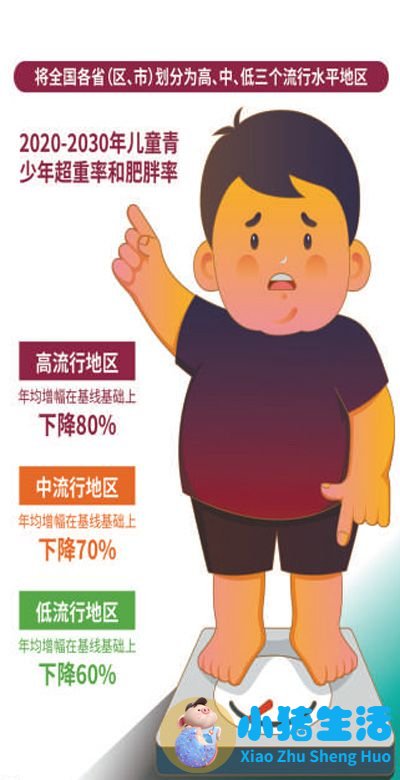 儿童科学减肥一本通:我不当小胖墩儿