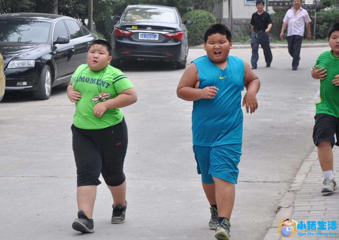 儿童科学减肥一本通:我不当小胖墩儿