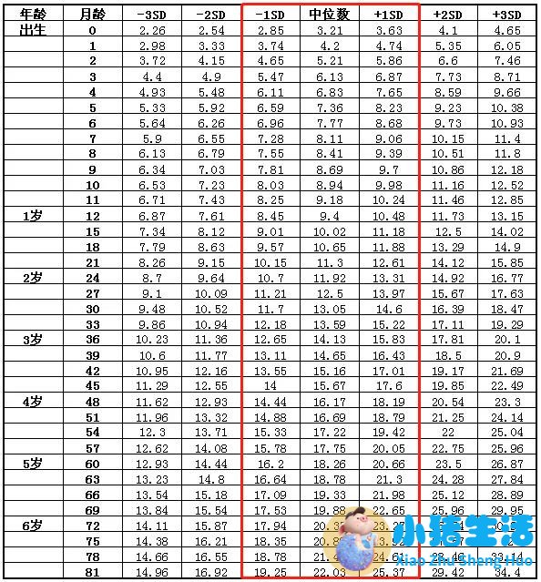 儿童科学减肥一本通:我不当小胖墩儿