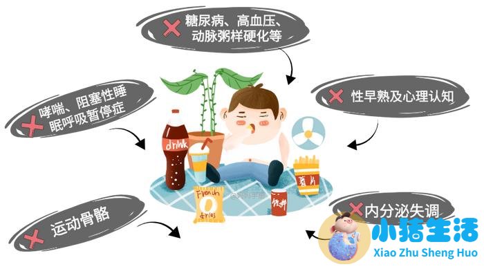 儿童科学减肥一本通:我不当小胖墩儿