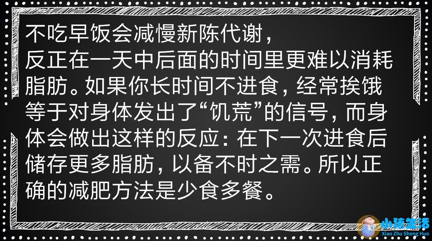 饮食减肥论文
