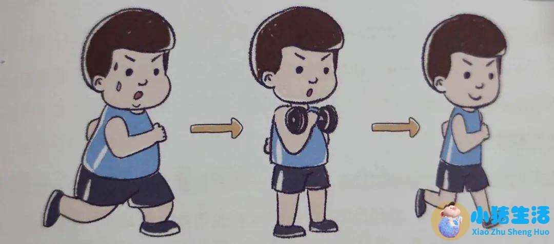 饮食减肥论文