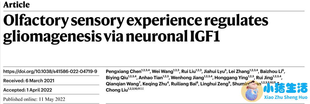 医学前沿 新闻