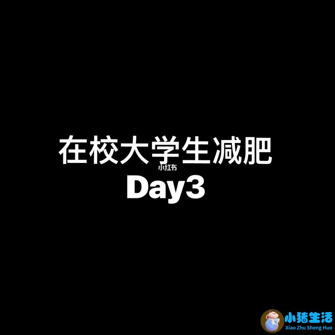 大学生减肥问题论文