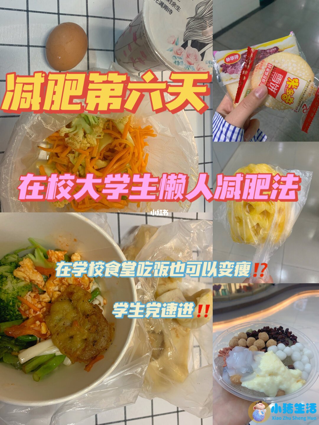 饮食减肥论文