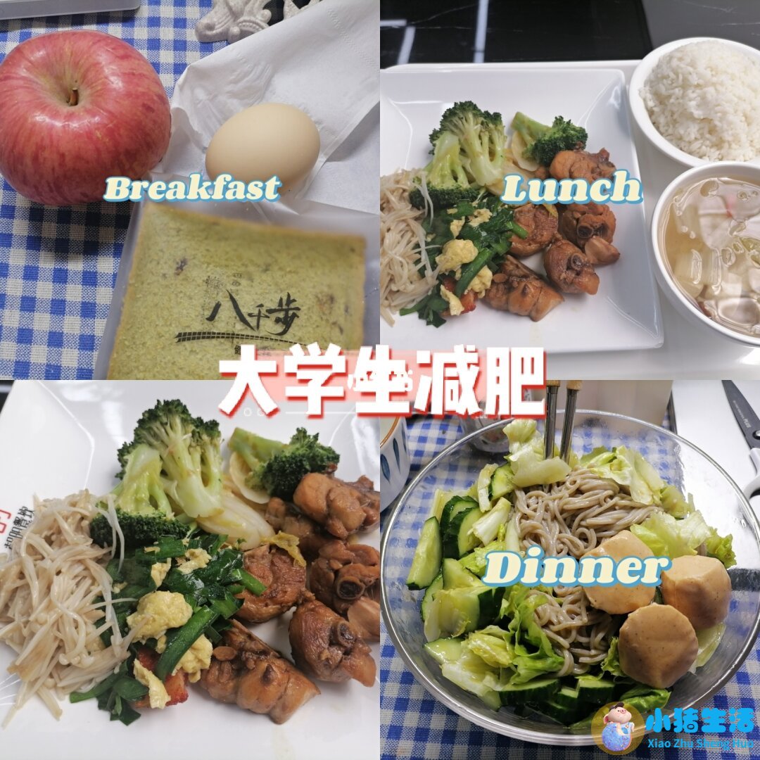 饮食减肥论文
