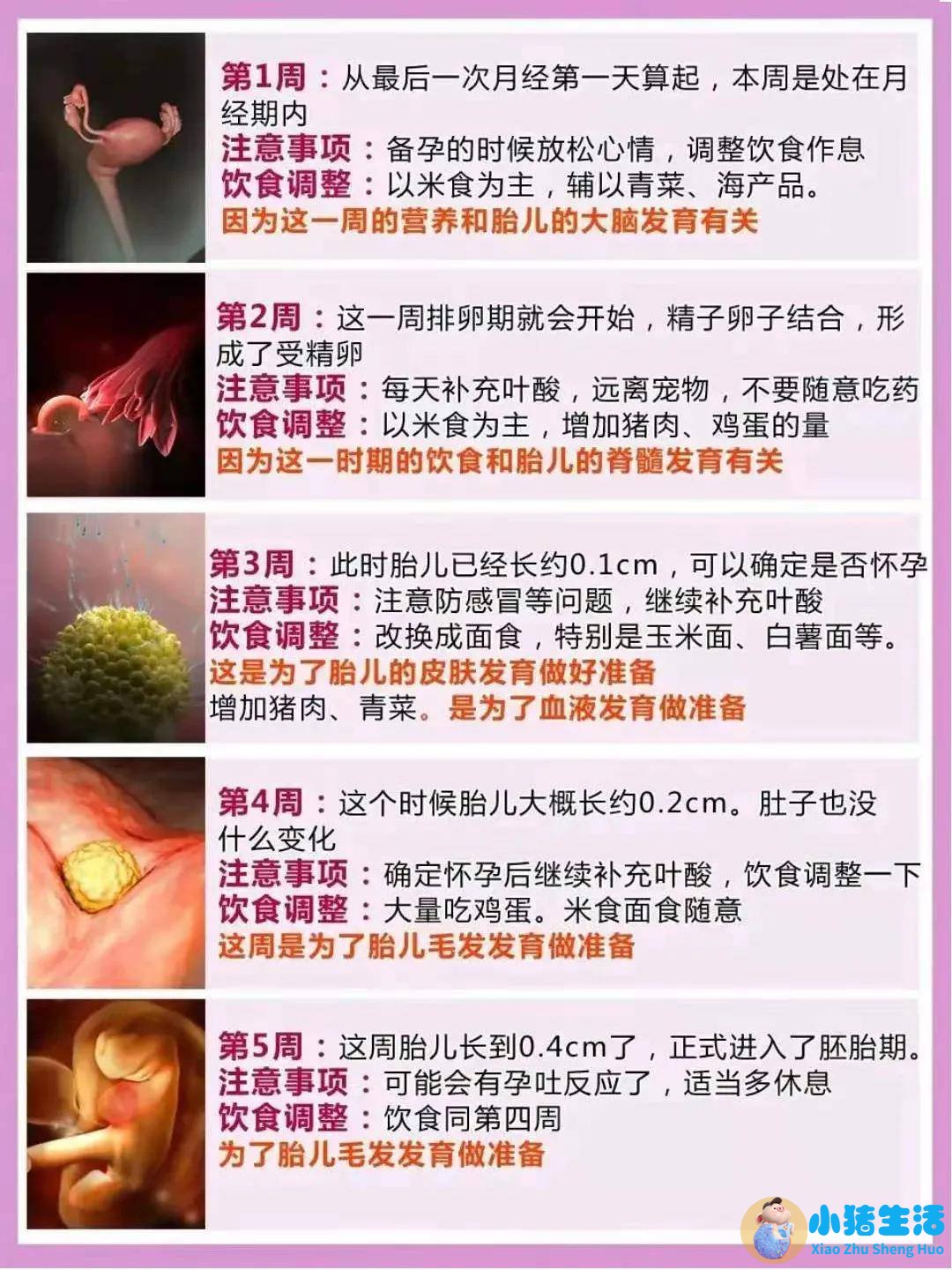 怀孕几周可以测试出来