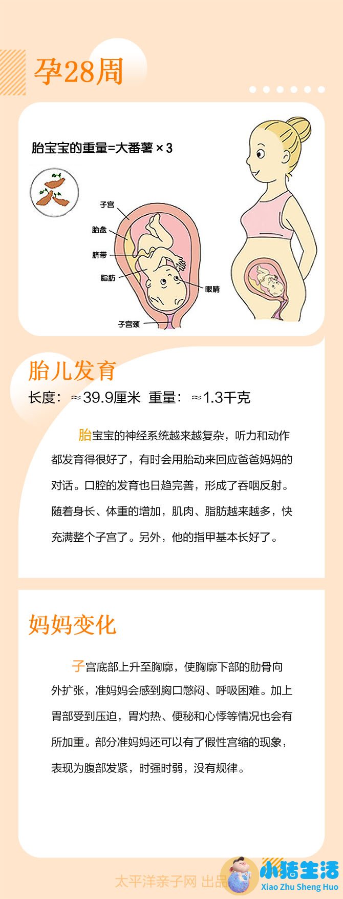 怀孕几周可以测试出来