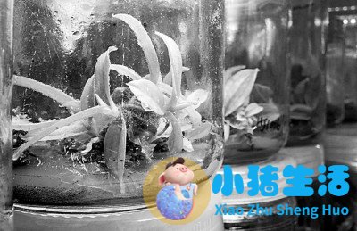 医学前沿 新闻