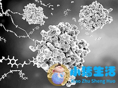 医学前沿 新闻