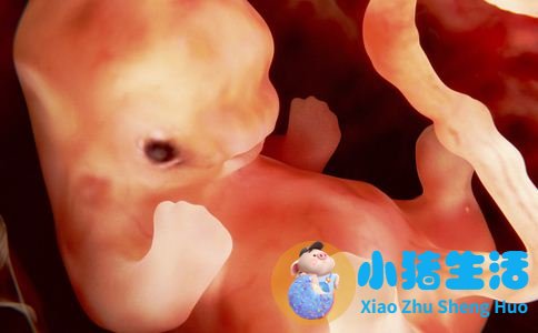 怀孕几周可以测试出来