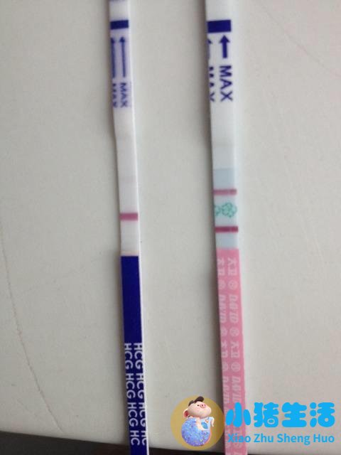 怀孕几周可以测试出来