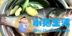 养生食品大全