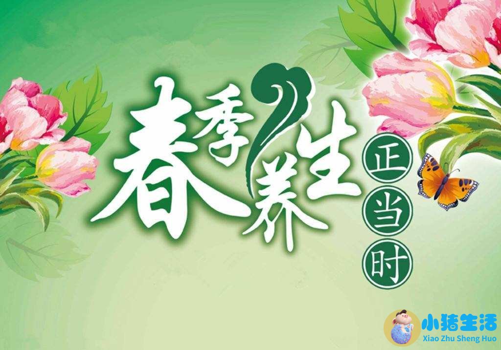 春季养生知识