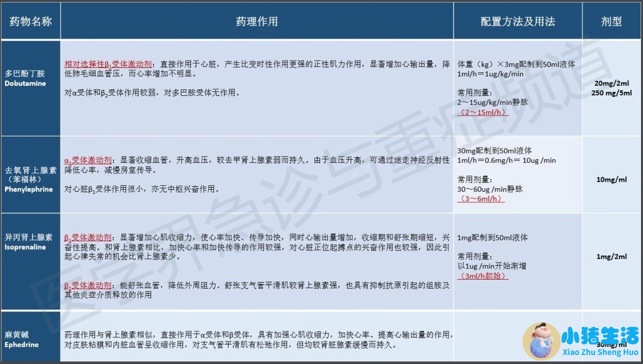 健康饮食食谱怎样预防高血压