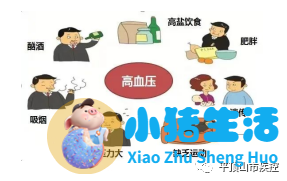 健康饮食食谱怎样预防高血压