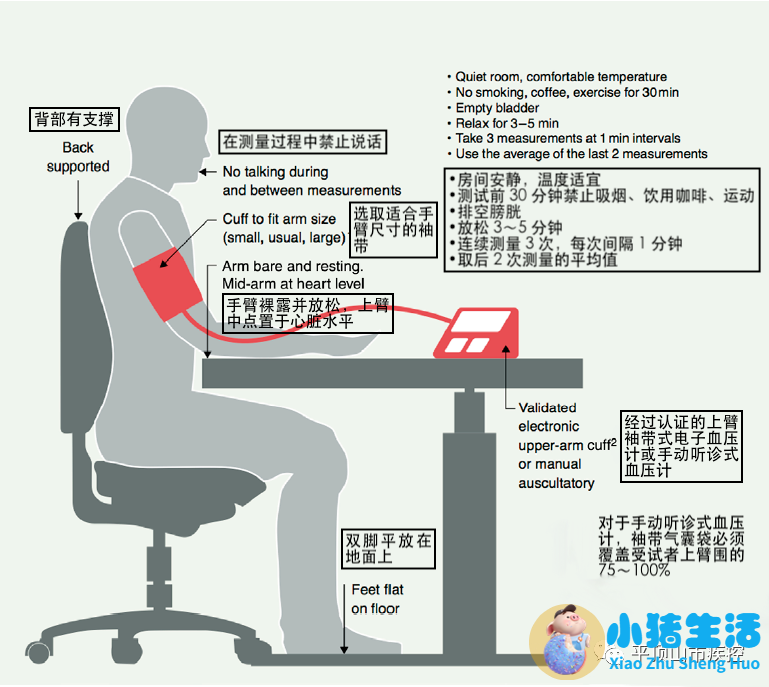 健康饮食食谱怎样预防高血压