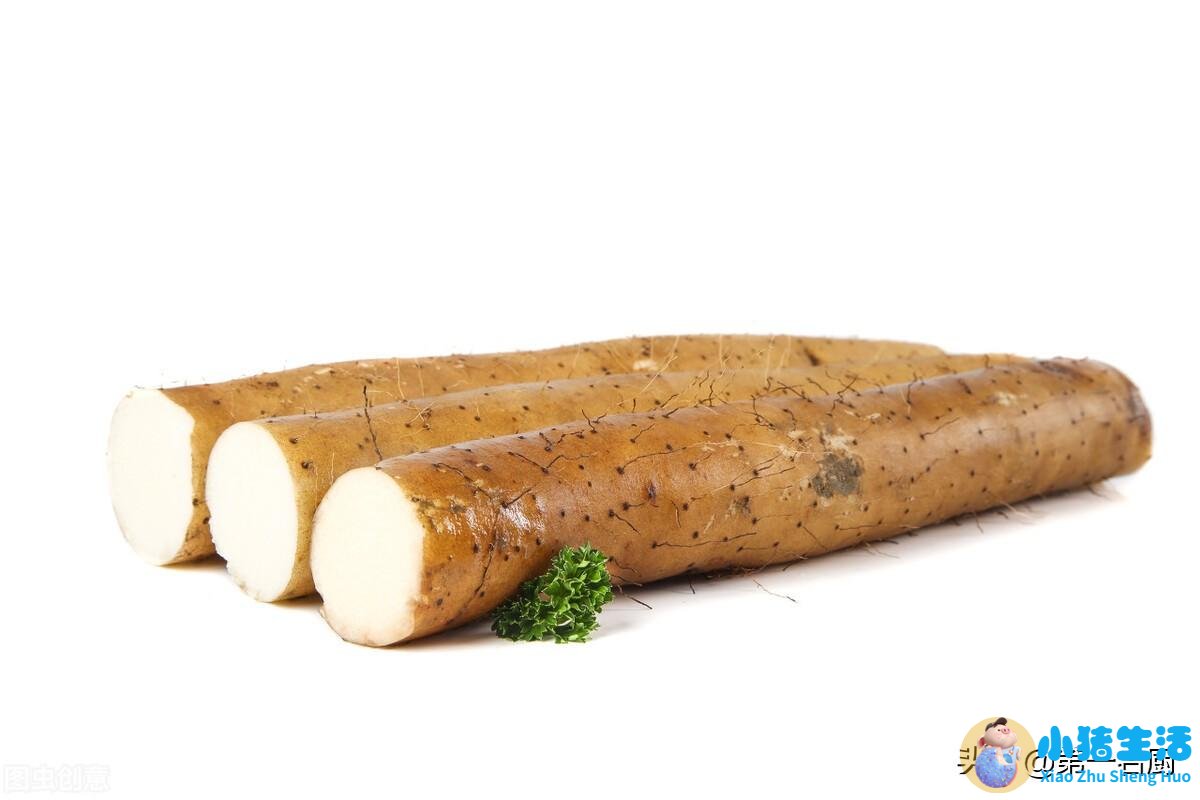 养生食品大全
