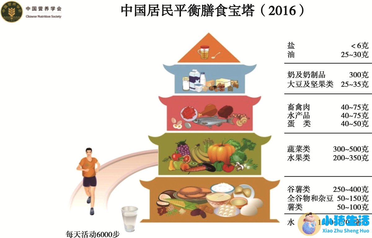 平衡膳食宝塔健康饮食知识讲座二