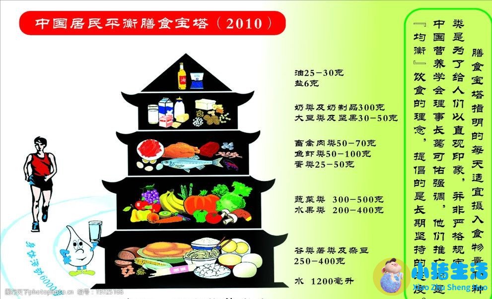 平衡膳食宝塔健康饮食知识讲座二