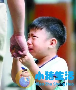沈阳顽德福早期教育培训学校