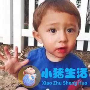 沈阳顽德福早期教育培训学校