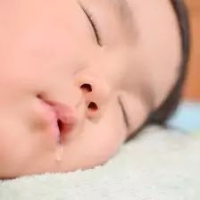 沈阳顽德福早期教育培训学校