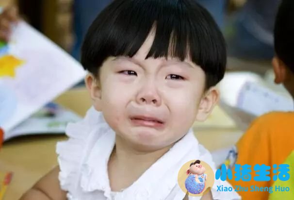 沈阳顽德福早期教育培训学校