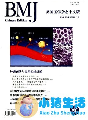 国内女性时尚类杂志的研究pdf