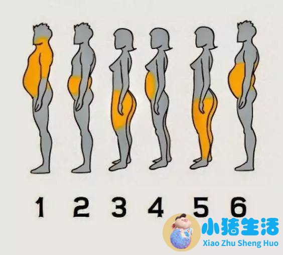 康熙来了局部减肥
