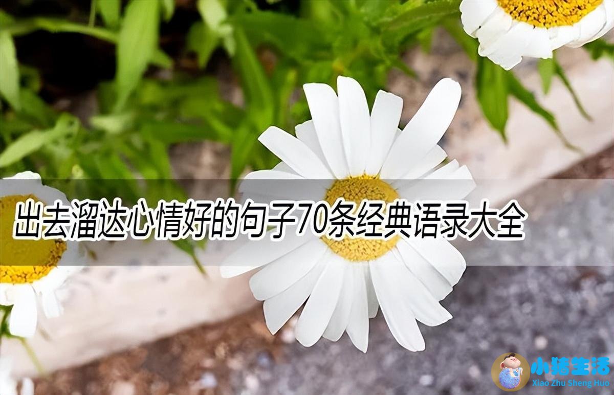 出去溜达心情好的句子70条经典语录大全