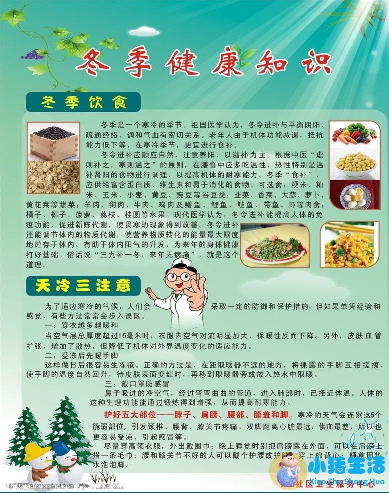冬季食物养生小常识