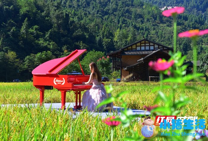 适合旅游的歌