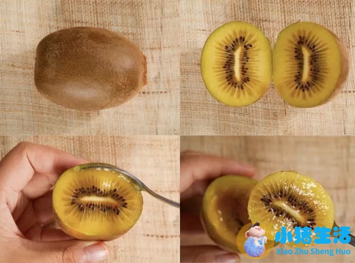 中药是虫子