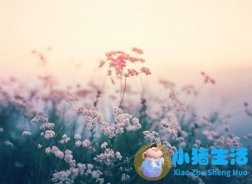 普吉岛三合特色表演小视频