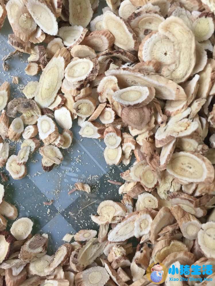 中药是虫子