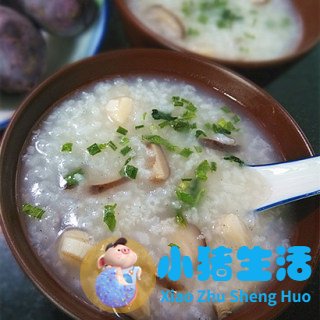 一天健康饮食食谱搭配