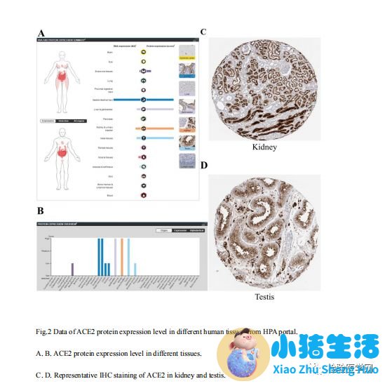 男性保健新知识