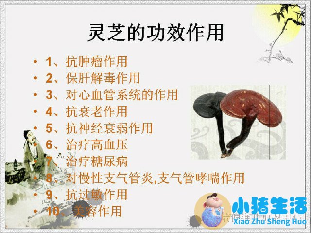 韩国护肝敏有副作用吗