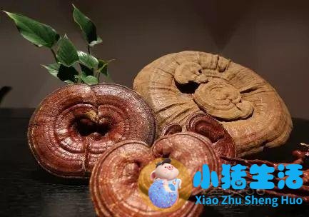 韩国护肝敏有副作用吗