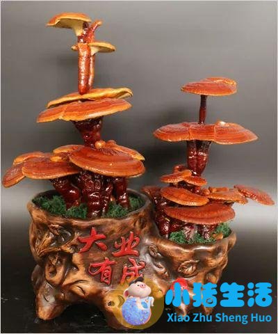 韩国护肝敏有副作用吗