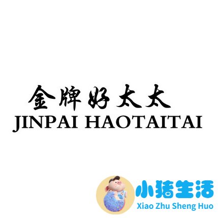 安家里王自健追求的女孩叫啥