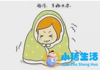 经常怕冷是什么原因怎样调理