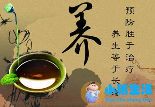 五谷膳食养生食疗