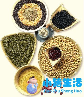 五谷膳食养生食疗