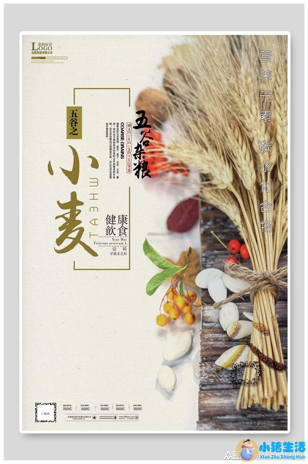 五谷膳食养生食疗
